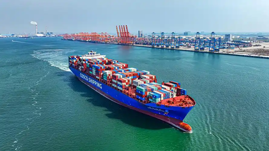 综合贸易板块：可提供哪些品类的进出口代理服务？是否包含小众商品？